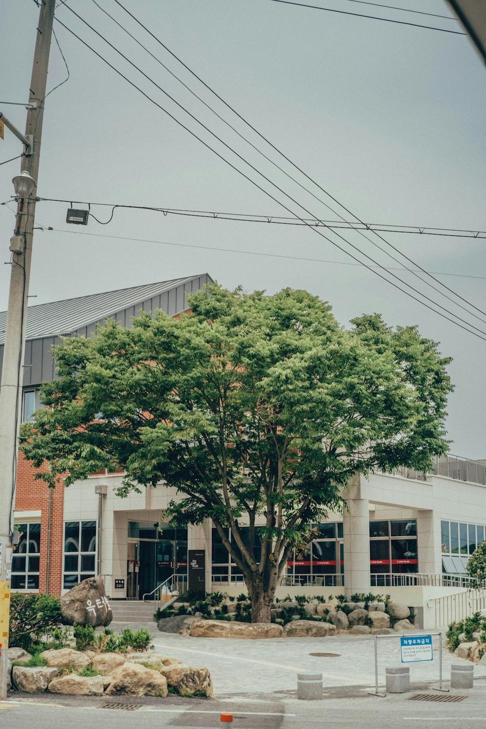 Liberty Village Community Centre