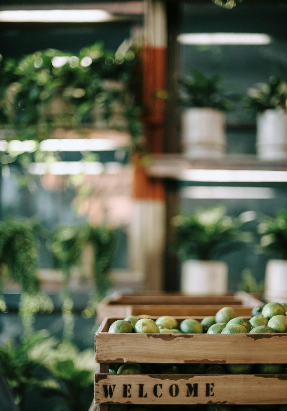 Farm-to-Table Bistro
